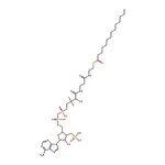RHAWN Myristoyl coenzyme A lithium salt