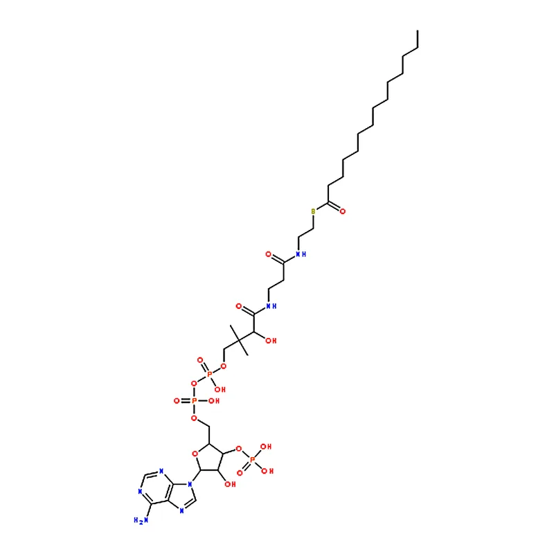RHAWN Myristoyl coenzyme A lithium salt