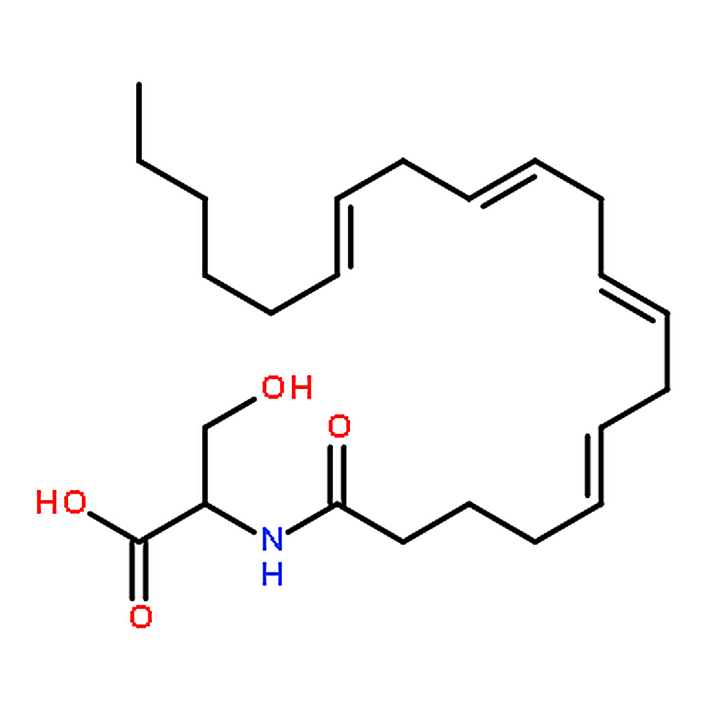 RHAWN N-Arachidonoyl-L-Serine (ARA-S)