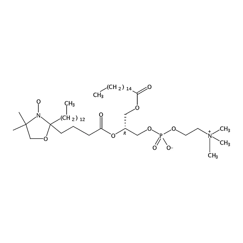 RHAWN 1-palmitoyl-2-stearoyl-(5-doxyl)-sn-glycero-3-phosphocholine