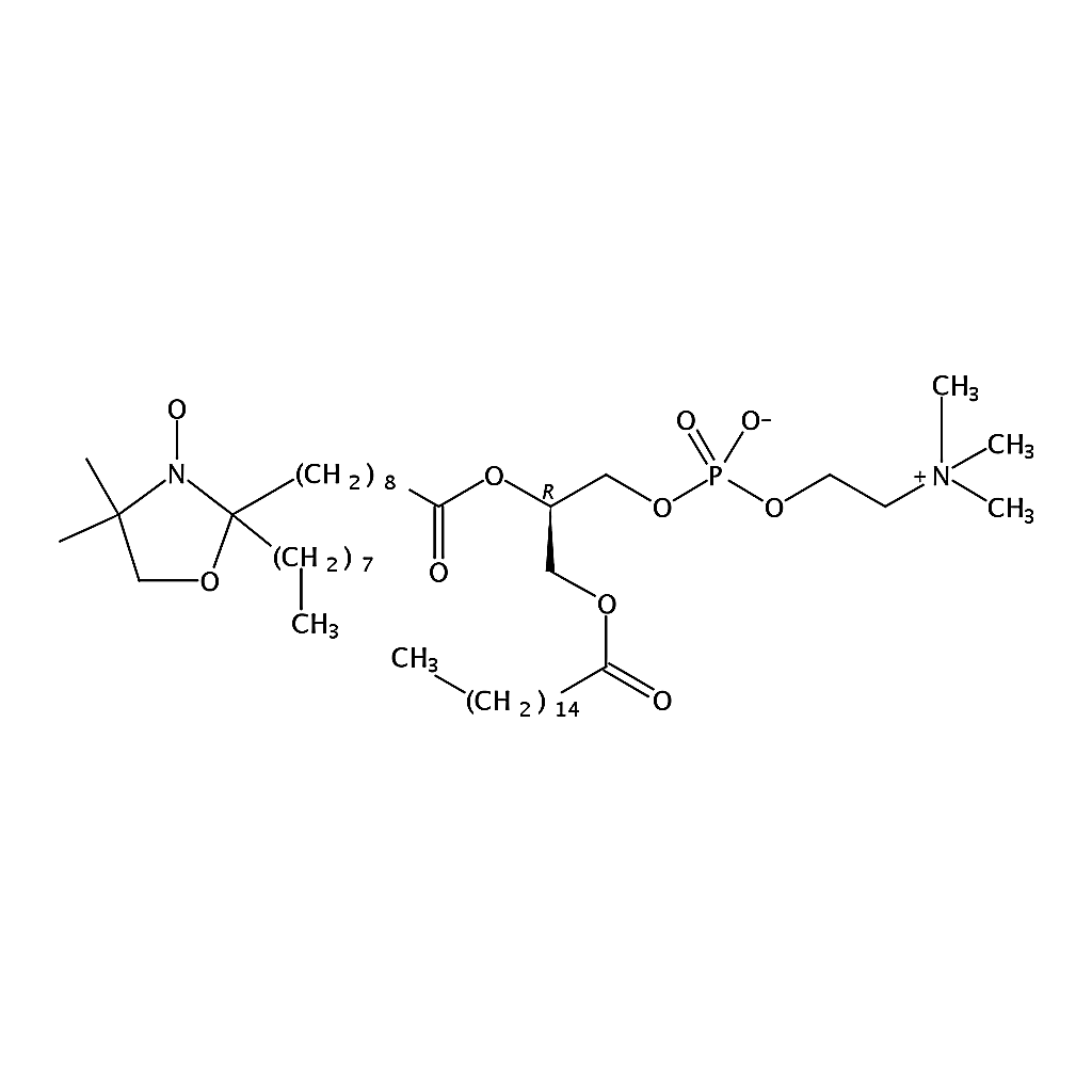 RHAWN 1-palmitoyl-2-stearoyl-(10-doxyl)-sn-glycero-3-phosphocholine