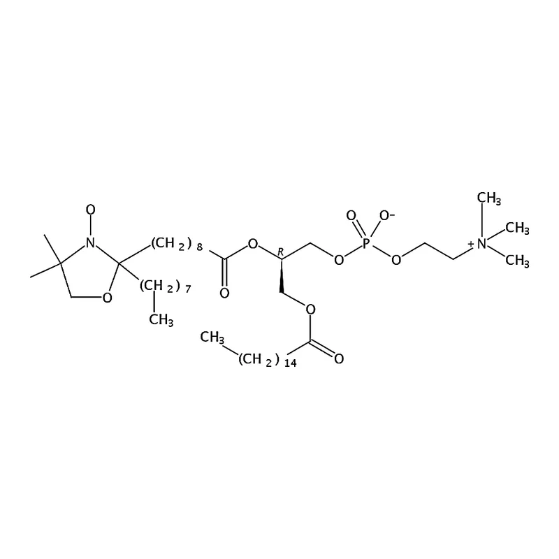 RHAWN 1-palmitoyl-2-stearoyl-(10-doxyl)-sn-glycero-3-phosphocholine