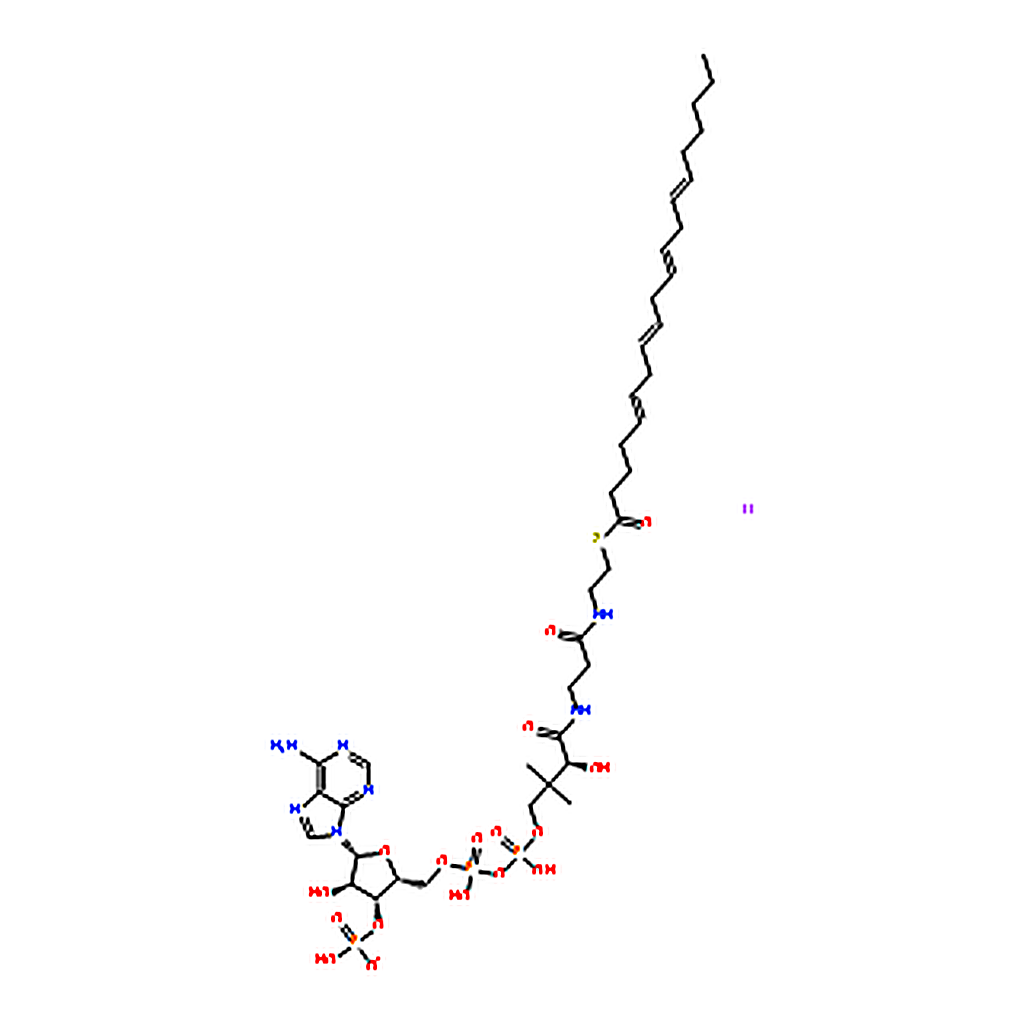 RHAWN Arachidonoyl coenzyme A lithium salt