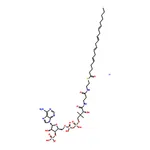 RHAWN Arachidonoyl coenzyme A lithium salt