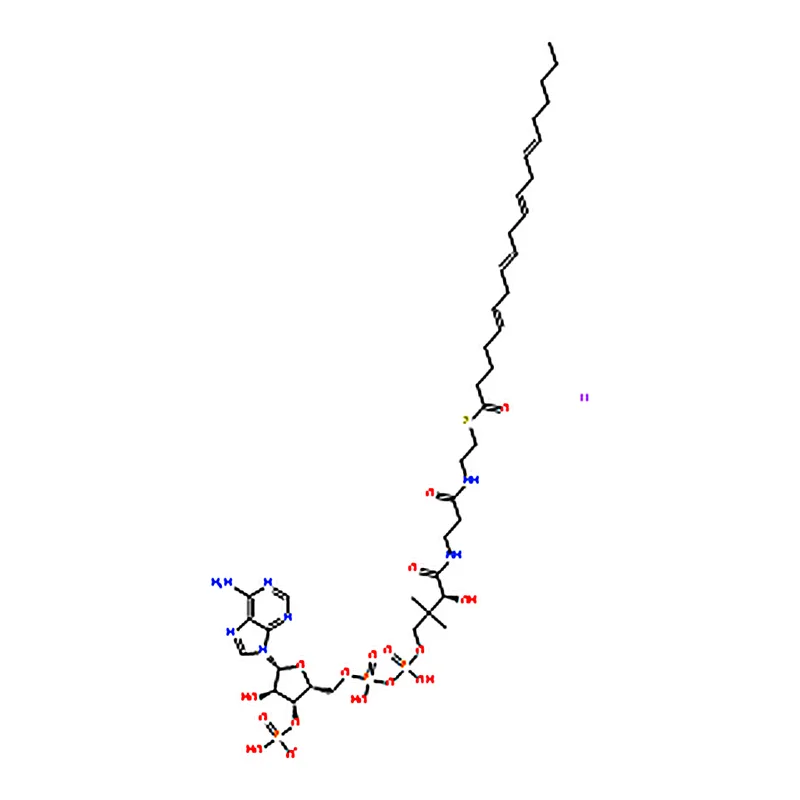 RHAWN Arachidonoyl coenzyme A lithium salt