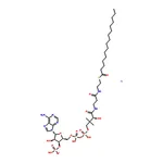 RHAWN Palmitoyl coenzyme A lithium salt