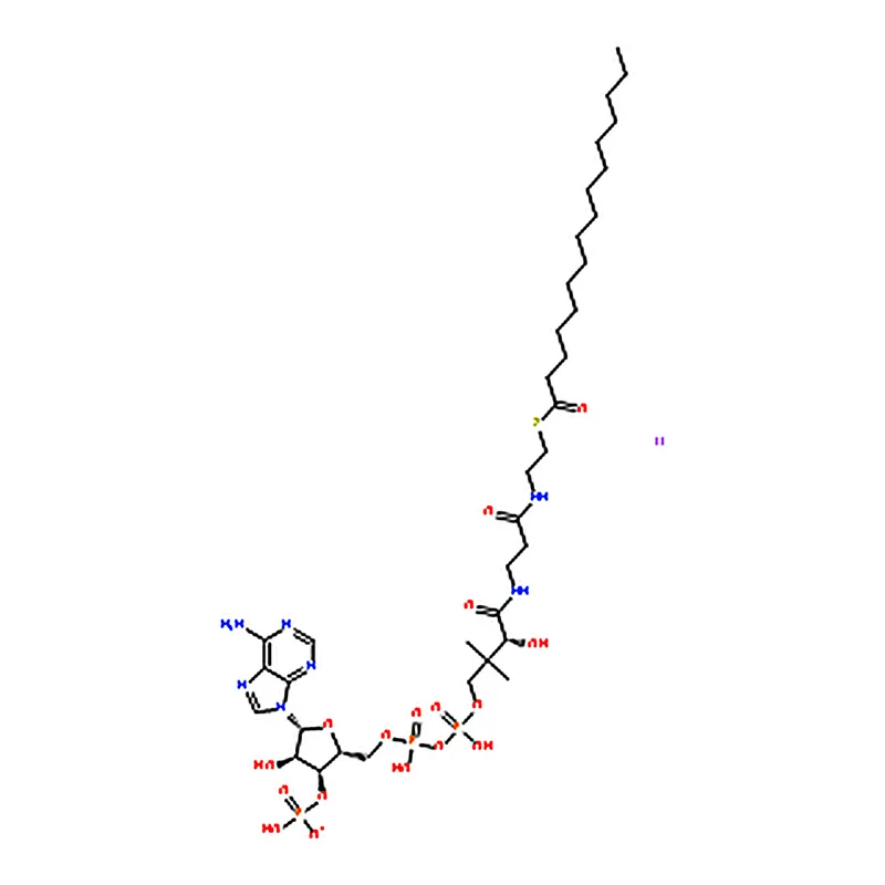 RHAWN Palmitoyl coenzyme A lithium salt