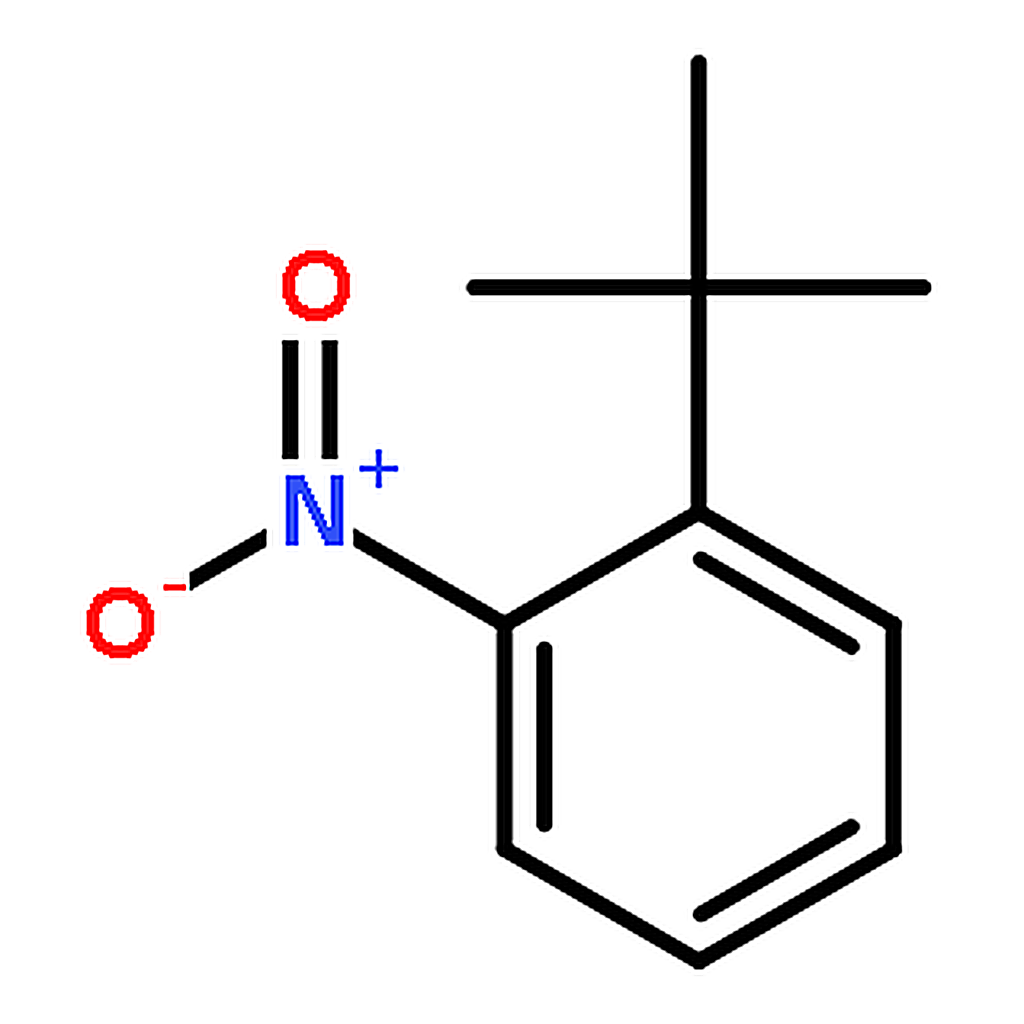 RHAWN 1-(tert-Butyl)-2-nitrobenzene