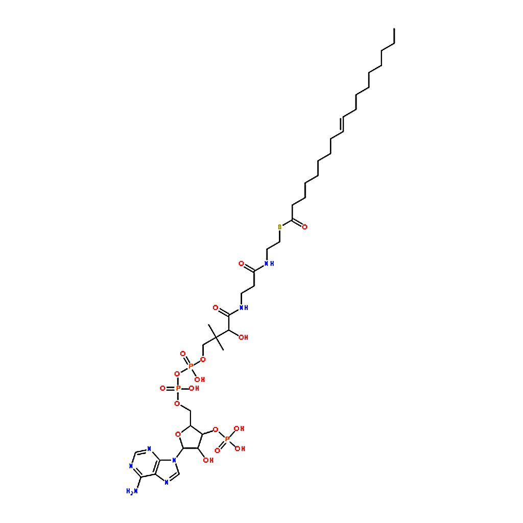 RHAWN Oleoyl coenzyme A lithium salt