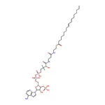 RHAWN Oleoyl coenzyme A lithium salt