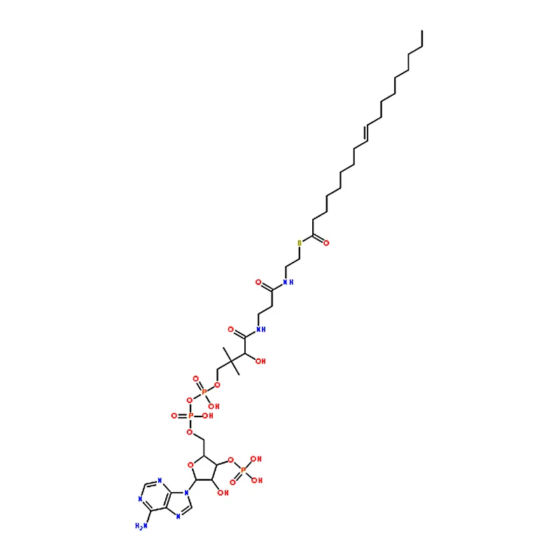 RHAWN Oleoyl coenzyme A lithium salt