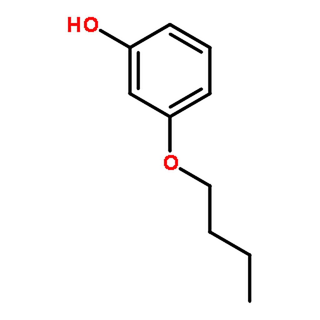 RHAWN 3-Butoxyphenol