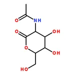 RHAWN 2-Acetamido-2-deoxy-D-glucono-1,5-lactone