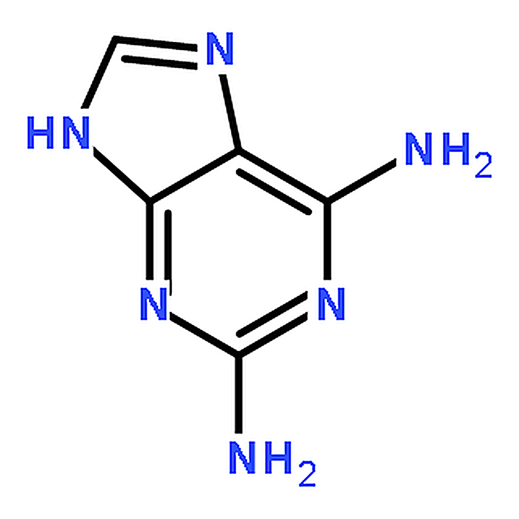 RHAWN 2,6-Diaminopurine