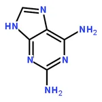 RHAWN 2,6-Diaminopurine