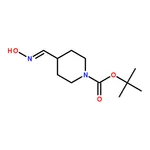 RHAWN Tert-butyl (E)-4-((hydroxyimino)methyl)piperidine-1-carboxylate