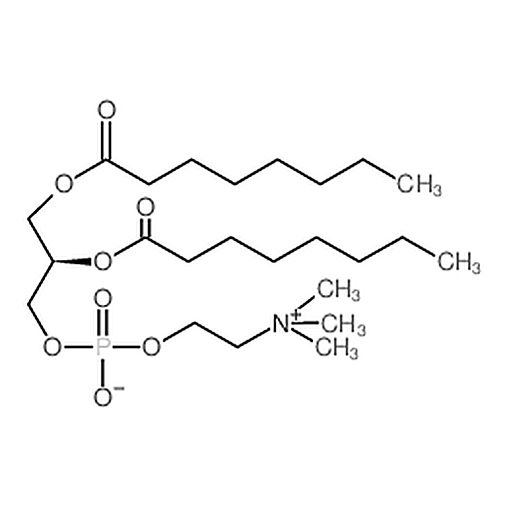 RHAWN 1,2-dioctanoyl-sn-glycero-3-phosphocholine