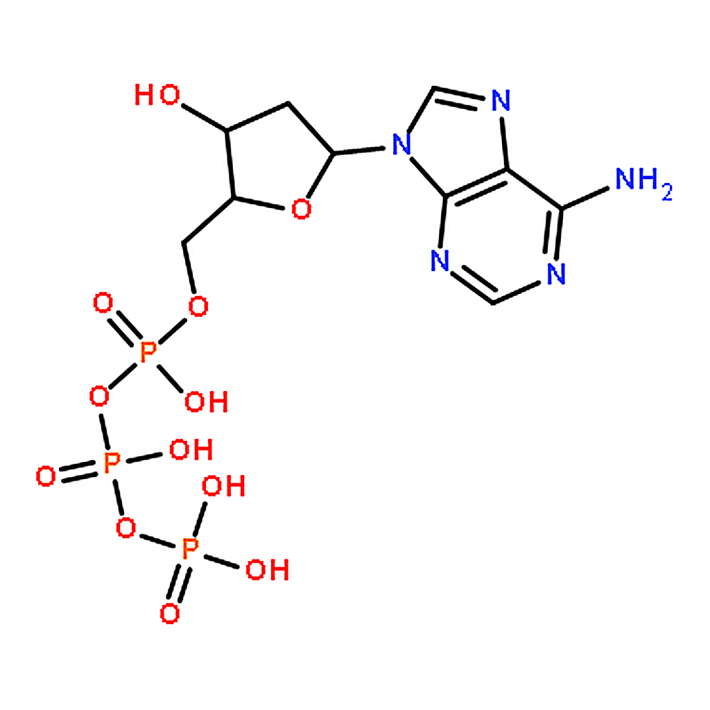 RHAWN 2'-Deoxyadenosine-5'-triphosphate disodium salt