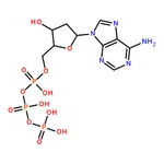 RHAWN 2'-Deoxyadenosine-5'-triphosphate disodium salt