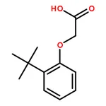 RHAWN 2-(2-(tert-Butyl)phenoxy)acetic acid