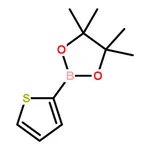 RHAWN Thiophene-2-boronic acid pinacol ester