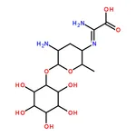 RHAWN Kasugamycin hydrochloride