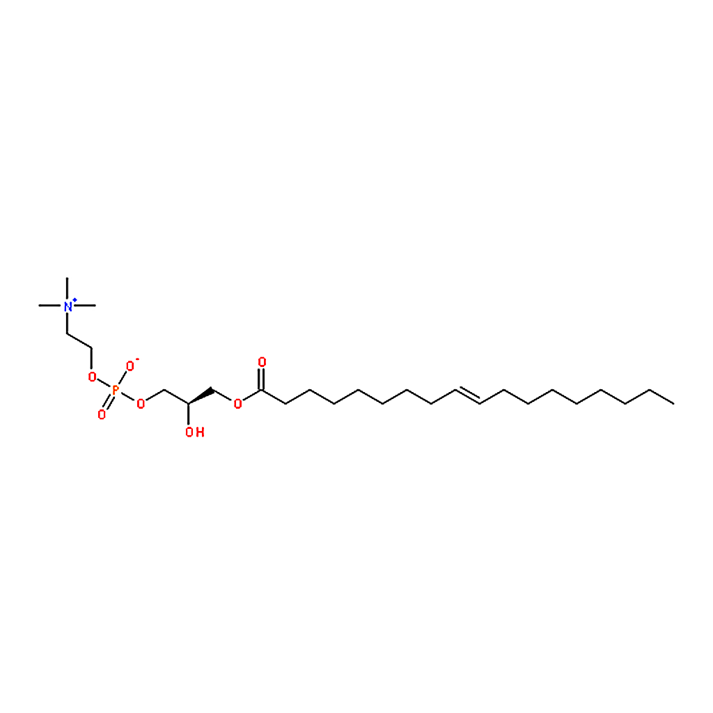 RHAWN 1-oleoyl-2-hydroxy-sn-glycero-3-phosphocholine