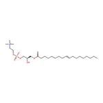 RHAWN 1-oleoyl-2-hydroxy-sn-glycero-3-phosphocholine