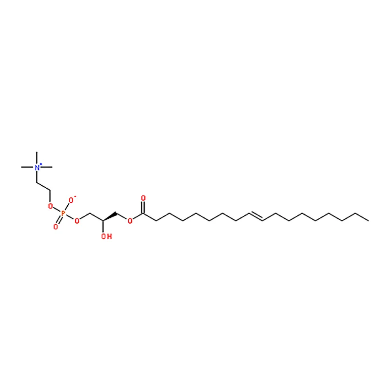RHAWN 1-oleoyl-2-hydroxy-sn-glycero-3-phosphocholine