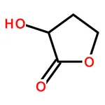 RHAWN -Hydroxy-┚-butyrolactone