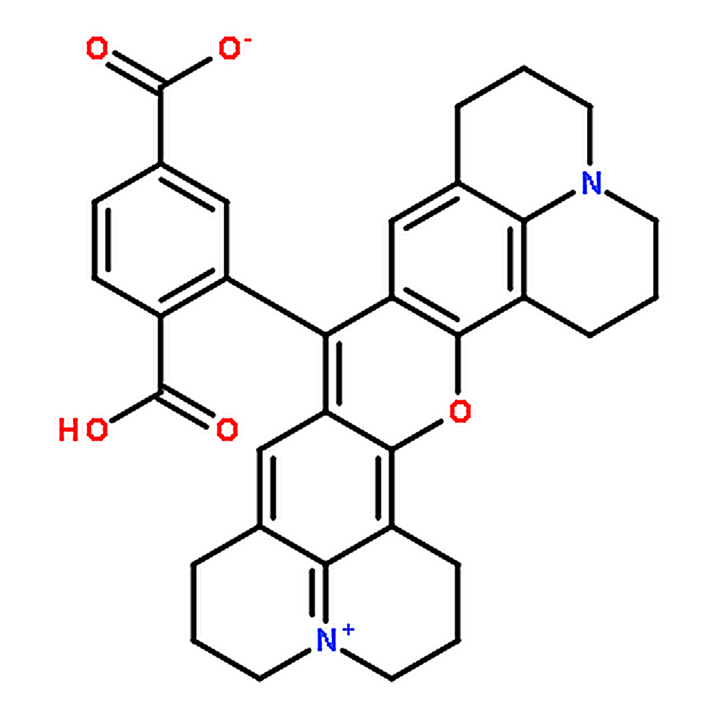 RHAWN 6-CARBOXY-X-RHODAMINE (SINGLE ISOMER)