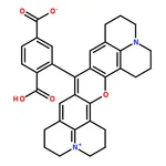 RHAWN 6-CARBOXY-X-RHODAMINE (SINGLE ISOMER)