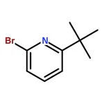 RHAWN 2-Bromo-6-tert-butylpyridine