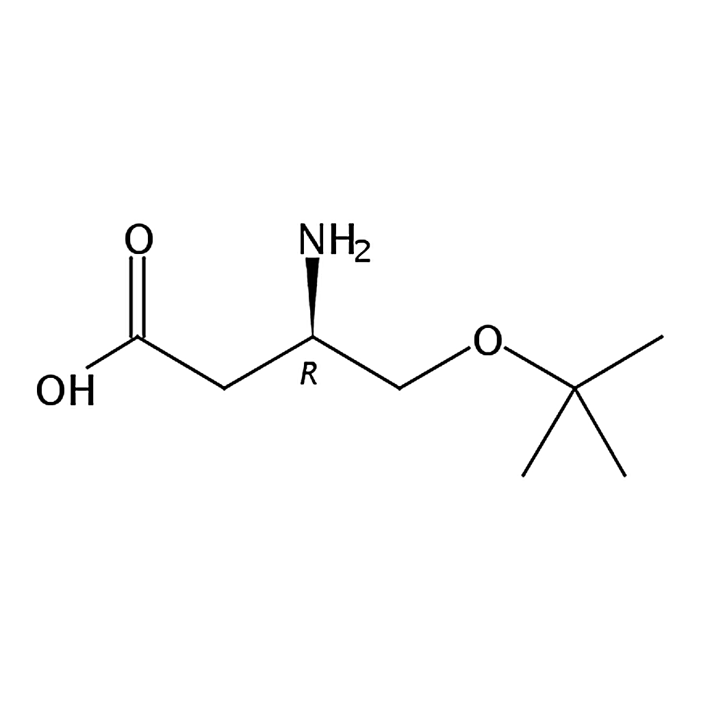 RHAWN (R)-3-Amino-4-(tert-butoxy)butanoic acid