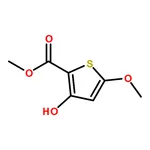 RHAWN Methyl 3-hydroxy-5-methoxythiophene-2-carboxylate