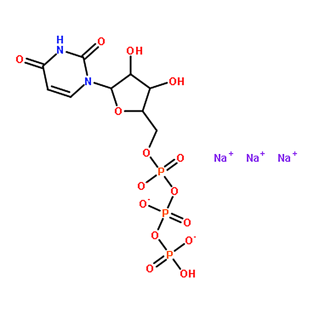 RHAWN Uridine 5'-triphosphate trisodium salt hydrate