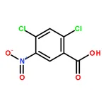 RHAWN 2,4-Dichloro-5-nitrobenzoic acid
