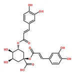 RHAWN 1,3-Dicaffeoylquinic acid
