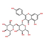 RHAWN kaempferol 3-O-sophoroside