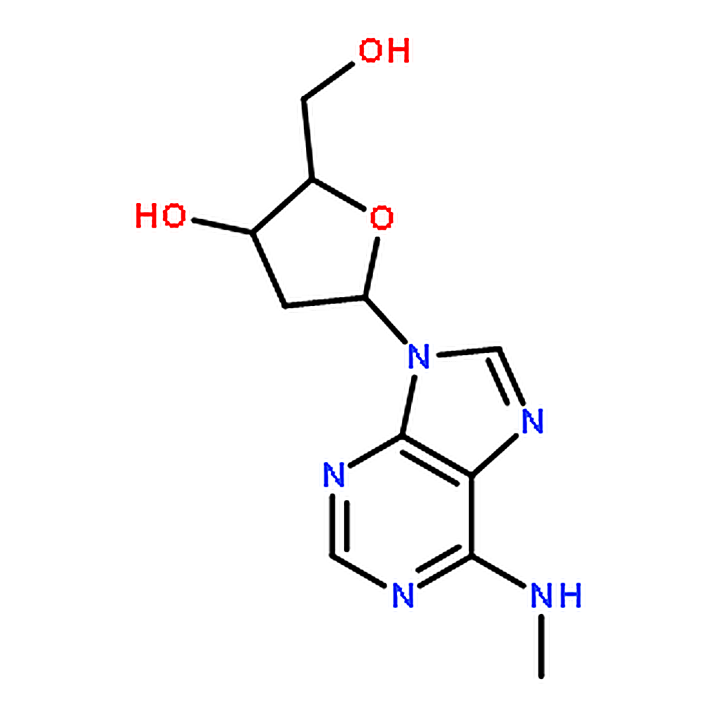 RHAWN N6-Methyl-2'-deoxyadenosine