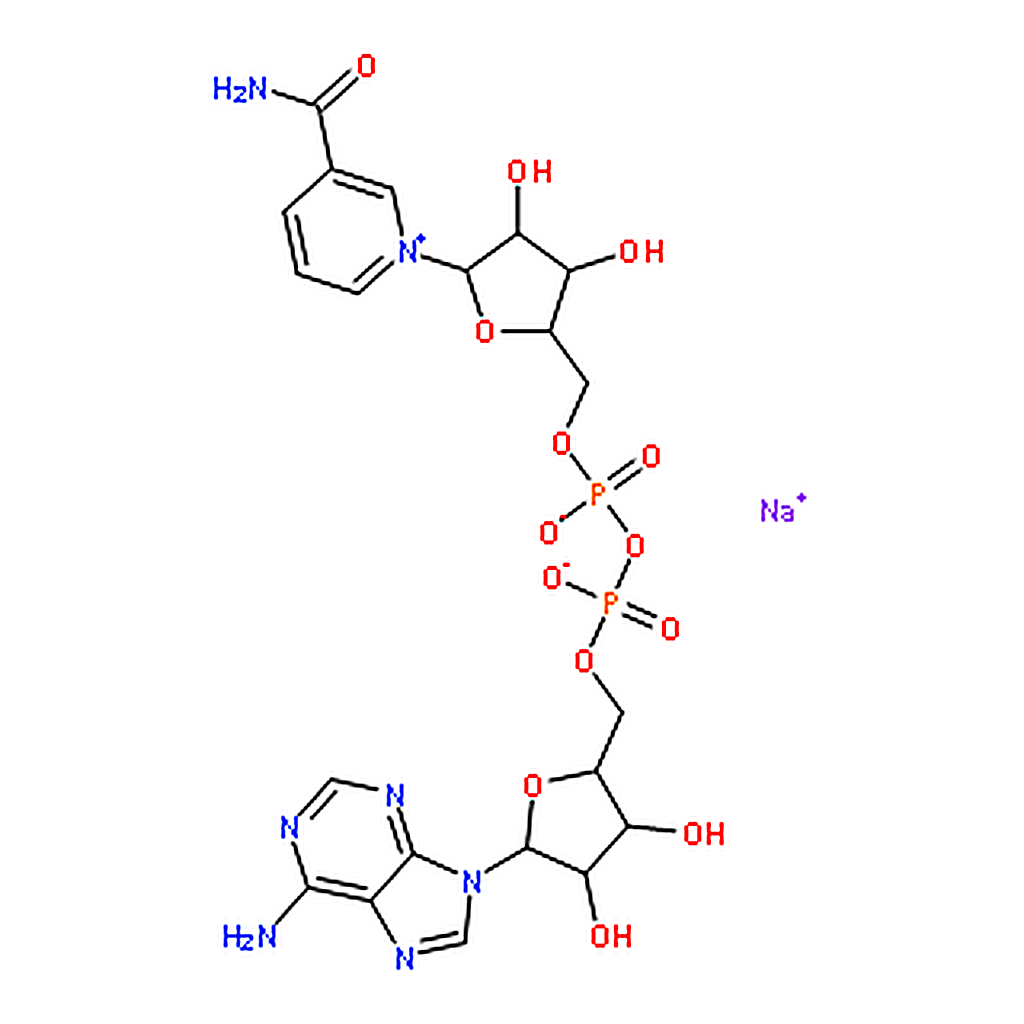 RHAWN -Nicotinamide adenine dinucleotide sodium salt