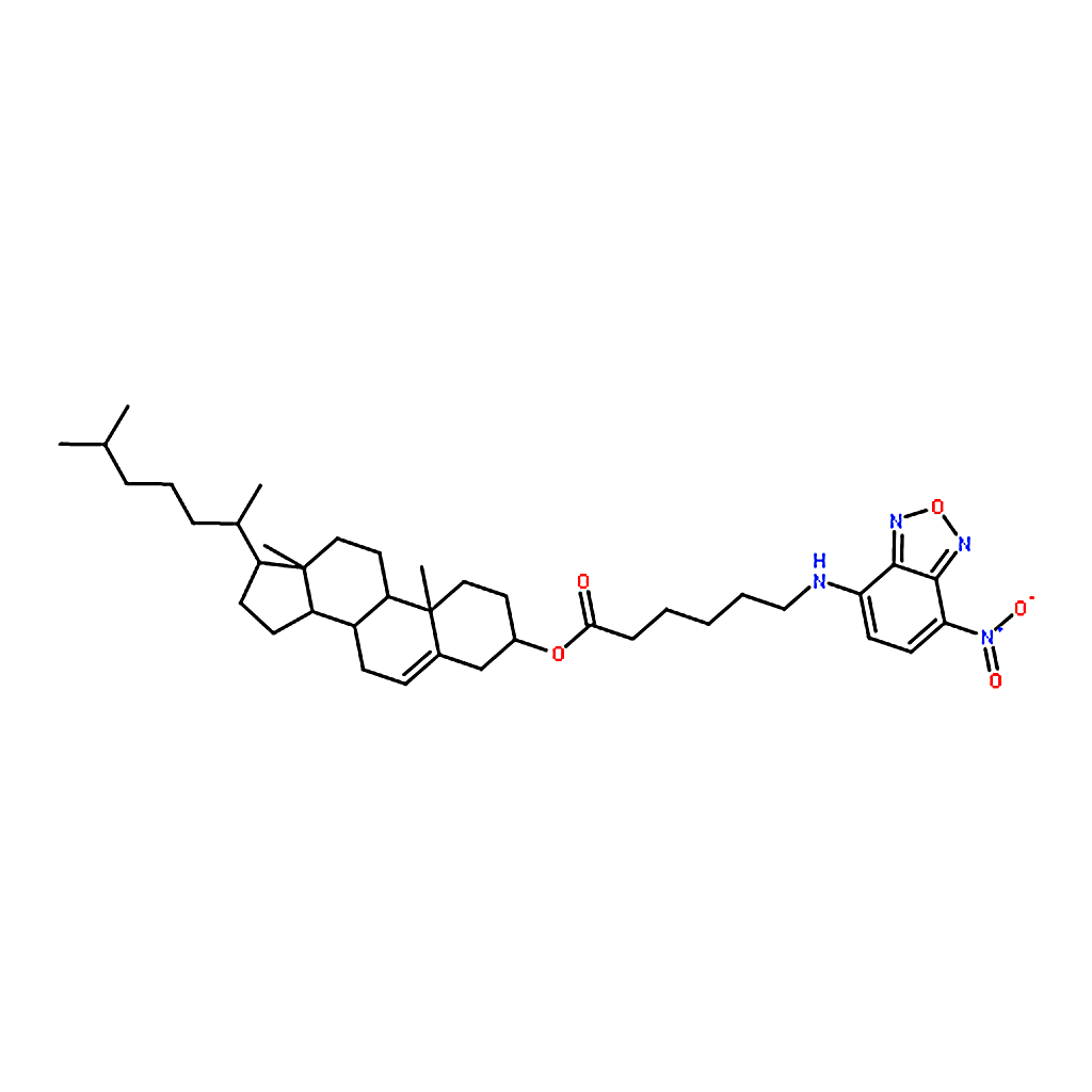 RHAWN 5-cholesten-3?-ol 6-[(7-nitro-2-1,3-benzoxadiazol-4-yl)amino]caproate