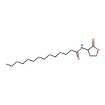 RHAWN N-tetradecanoyl-L-Homoserine lactone