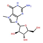 RHAWN 7-Methylguanosine
