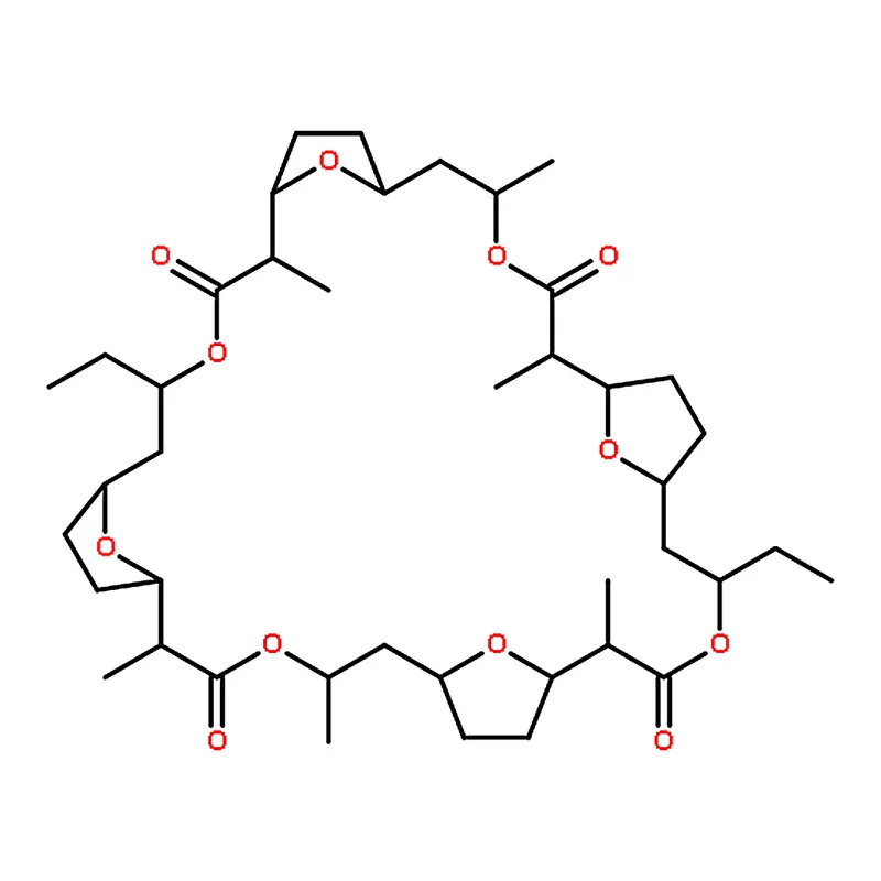 RHAWN Dinactin