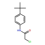 RHAWN N-(4-(tert-Butyl)phenyl)-2-chloroacetamide