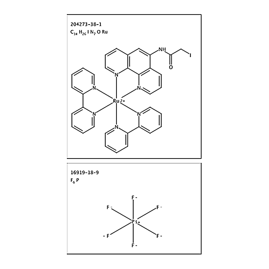 RHAWN [Ru(bpy)2(5-iodoacetamido-1,10-phenanthroline)](PF6)2