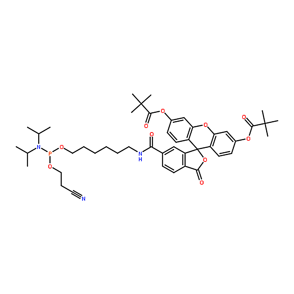 RHAWN 5’-Fluorescein phosphoramidite