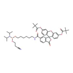RHAWN 5’-Fluorescein phosphoramidite