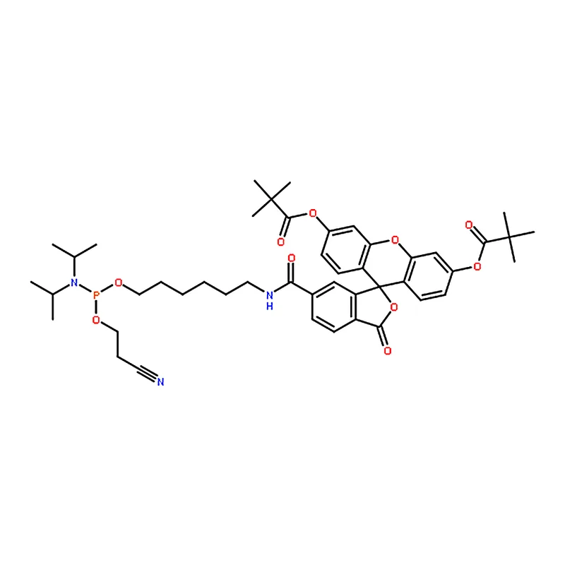 RHAWN 5’-Fluorescein phosphoramidite